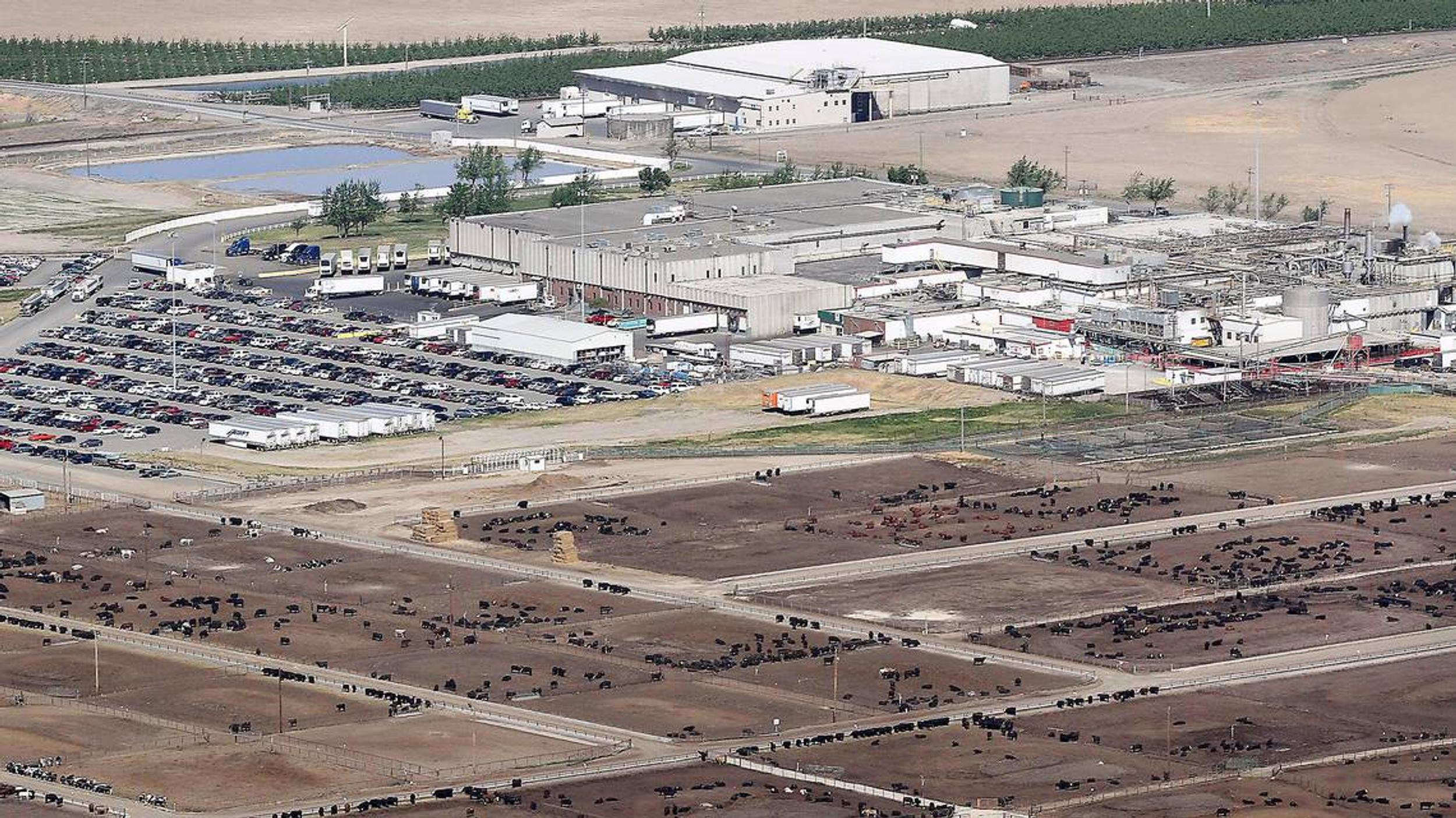 Easterday Ranches Wa | Rancher Sentenced for Running $244 Million ...