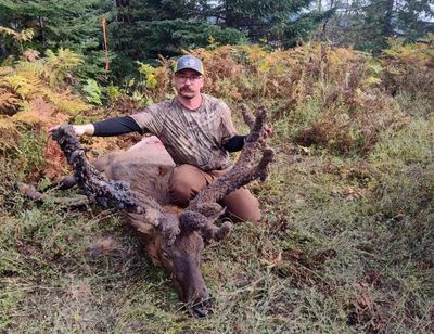Nathan Kiele shot this “cactus bull,” an elk with unusual antlers, last month.  (Courtesy of Nathan Kiele)