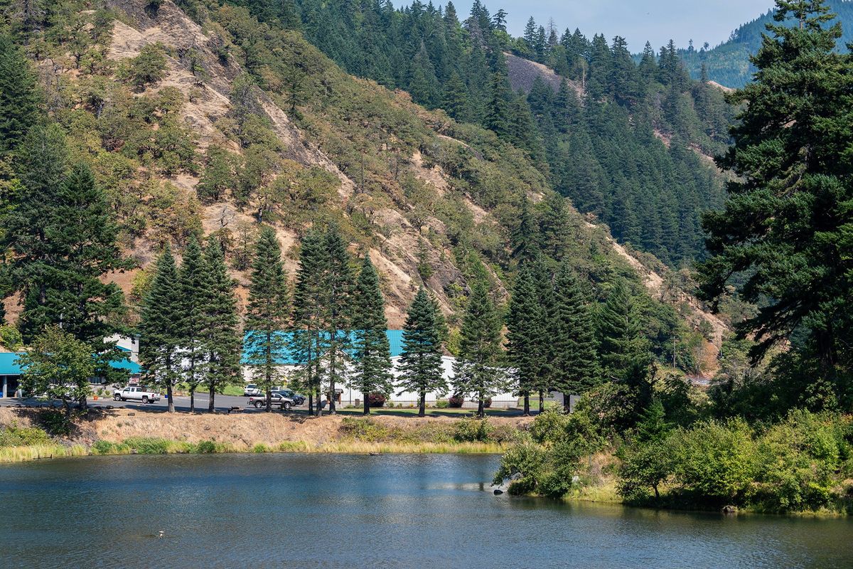 Little White Salmon National Fish Hatchery sits on the banks of the Little White Salmon River on Thursday, Sept. 4, 2025. (Taylor Balkom/The Columbian)  (Taylor Balkom/The Columbian)