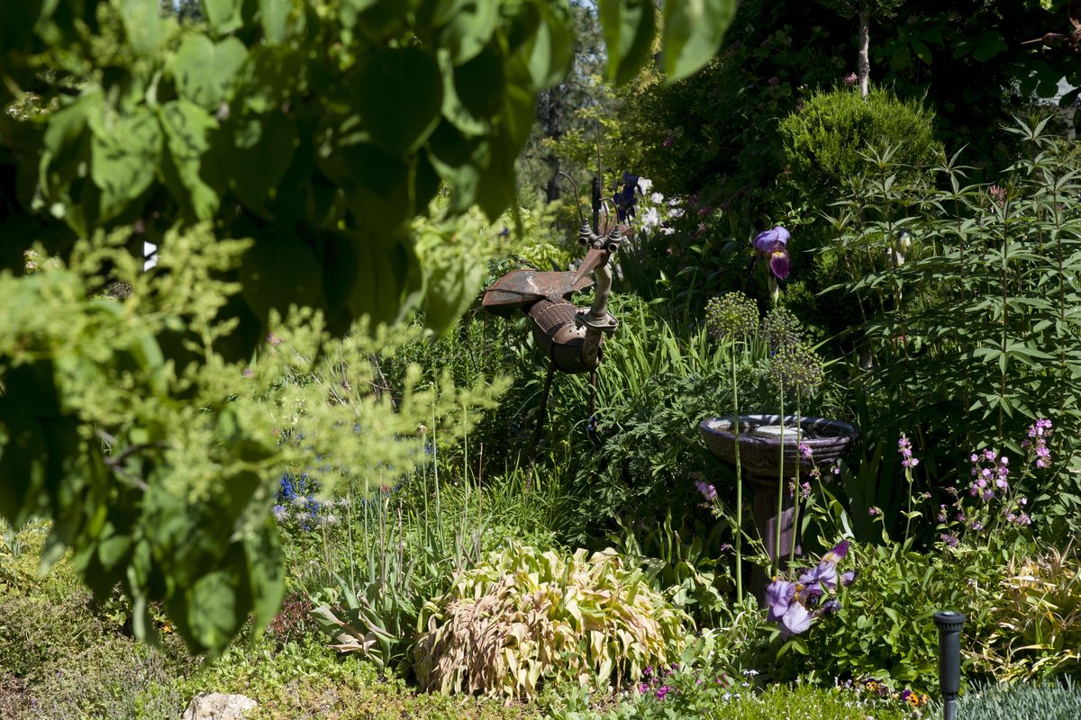 One of Karol Starzel’s welded animal sculptures sits in her garden on June 2 in Spokane Valley. Starzel’s garden is on the Spokane in Bloom garden tour. (PHOTOS BY TYLER TJOMSLAND)
