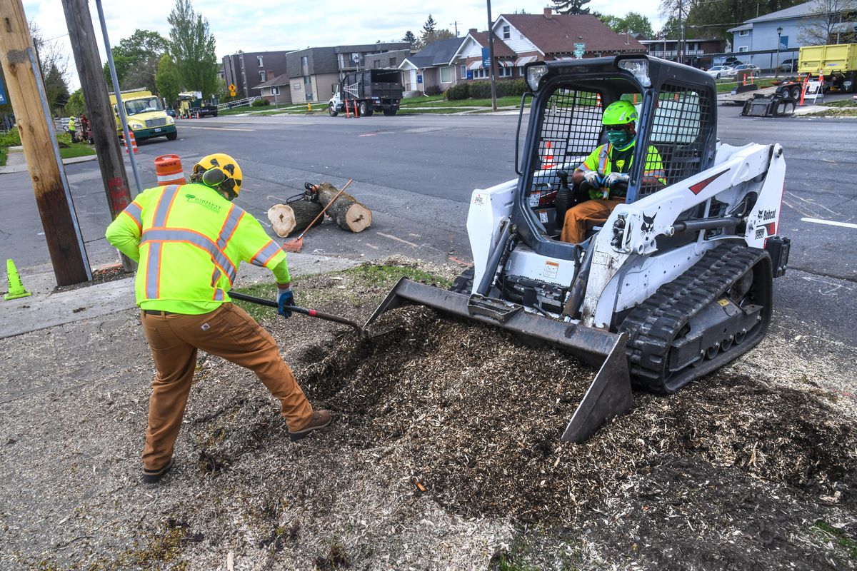 Cody Kirby, left, and Edwin Torres, of Bartlett Tree Experts, clean up after removing trees from the corner of Cincinnati Street and Sharp Avenue, Friday, May 1, 2020, in Spokane. A new roundabout is planned for the intersection. Dan Pelle/THE SPOKESMAN-REVIEW (Dan Pelle / The Spokesman-Review)