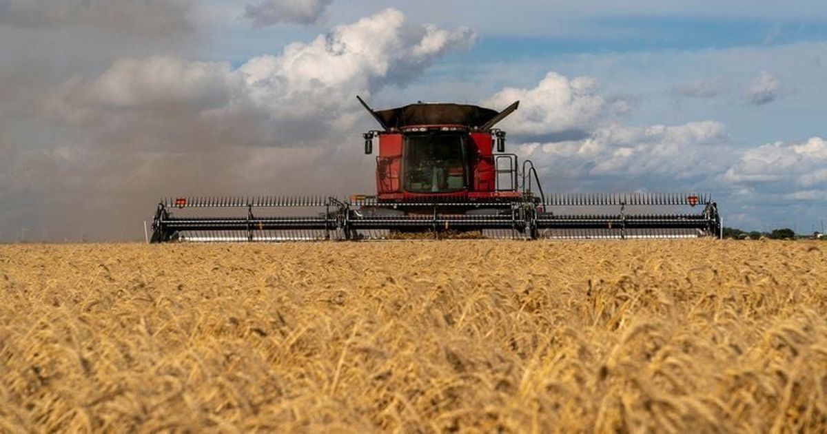 U.S. farm agency unlikely to issue more farm aid, official says