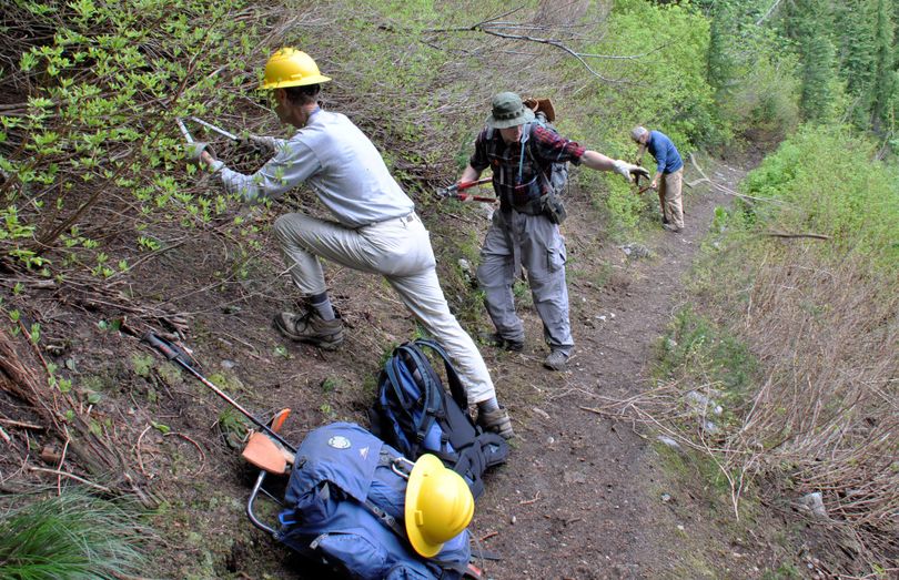 Volunteers clear brush off the national forest trail to Stevens Lakes near Lookout Pass.