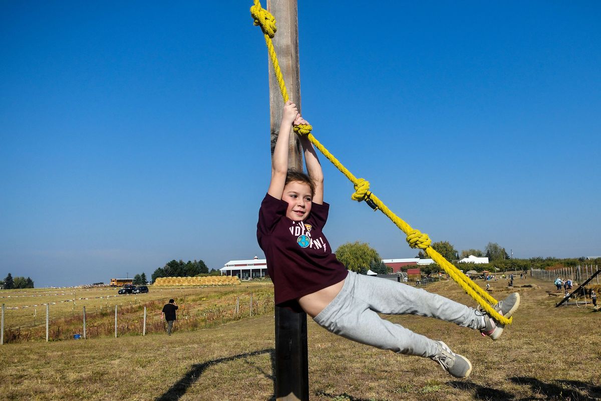 Stratton Elementary first-grader Summer Spring , 7, swings on the knotted rope at High Country Orchard in Colbert on Wednesday.  (Kathy Plonka/The Spokesman-Review)