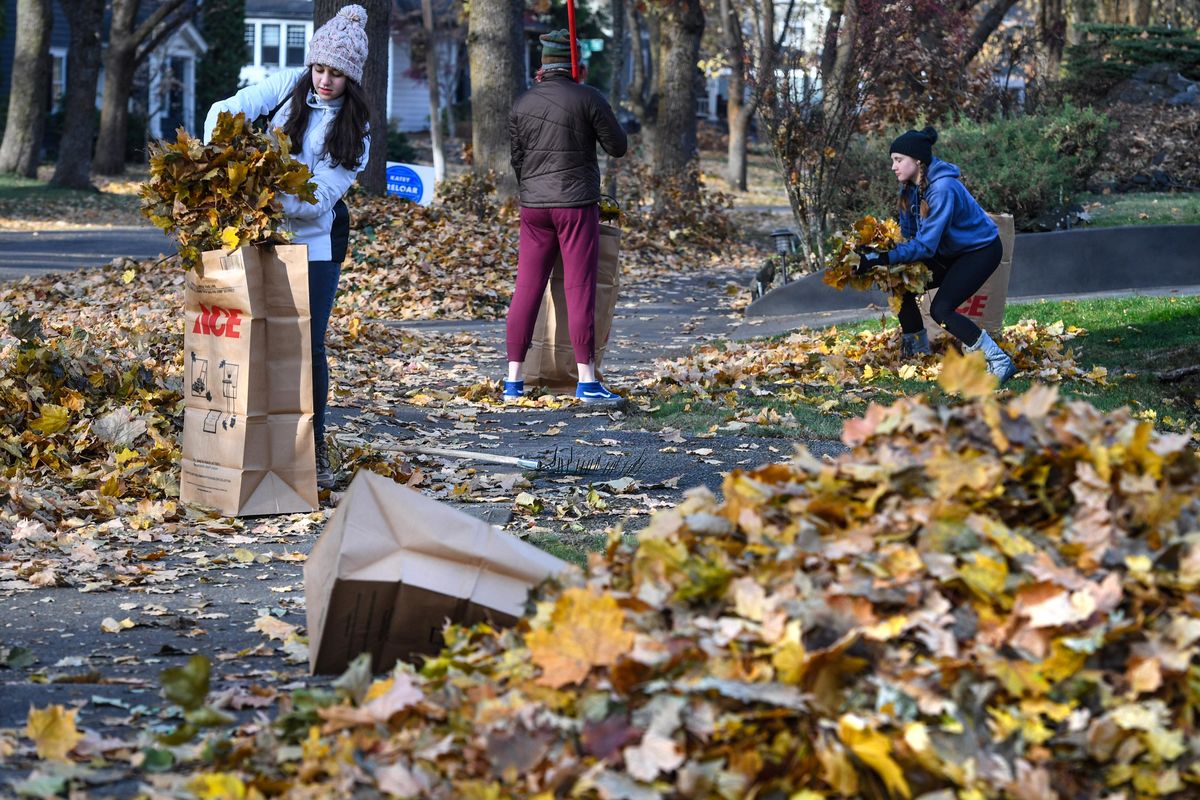 Lewis and Clark High School sophomores, from left, Syringa Barenti, Georgia Kettrick, and Amanda Alexandr clean up a yard at the corner of 26th Avenue and Arthur Street, during the LC music program leaf raking event, Saturday, Nov. 2, 2019, in Spokane. (Dan Pelle / The Spokesman-Review)