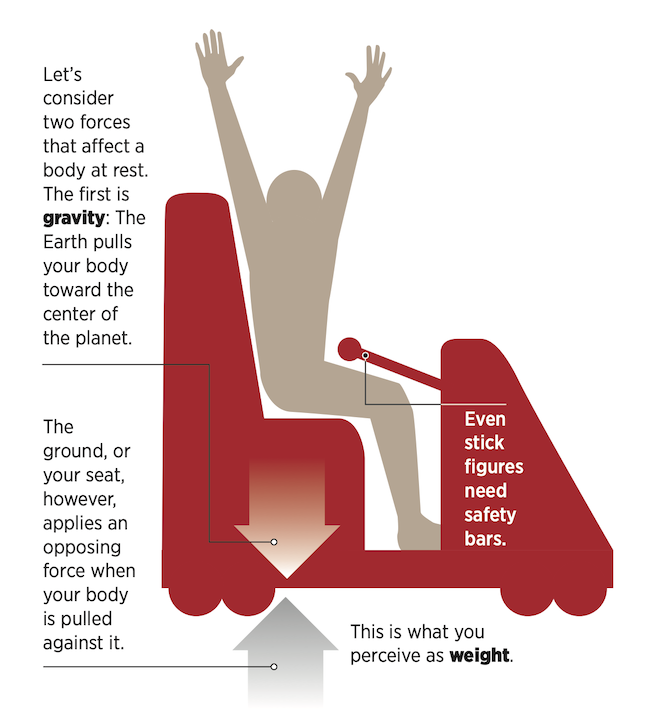 The science behind roller coasters The Spokesman Review