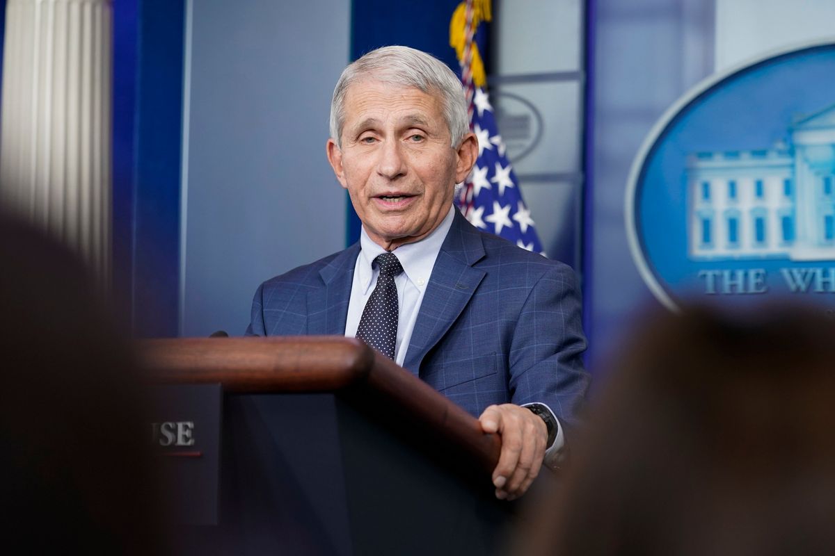Dr. Anthony Fauci, director of the National Institute of Allergy and Infectious Diseases, speaks during the daily briefing at the White House in Washington, Dec. 1, 2021.  (Susan Walsh)