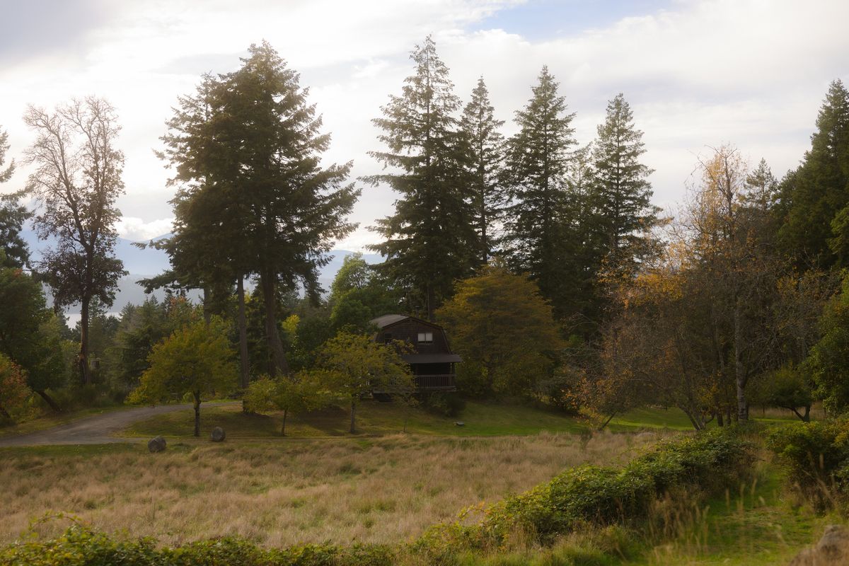 One of the Bodega Ridge cabins on Galiano Island in British Columbia, Canada, Oct. 8, 2024. The Bodega Ridge hotel offers a collection of seven rustic log cabins situated on a 22-acre property surrounded by arbutus trees and wildflowers.  (New York Times)