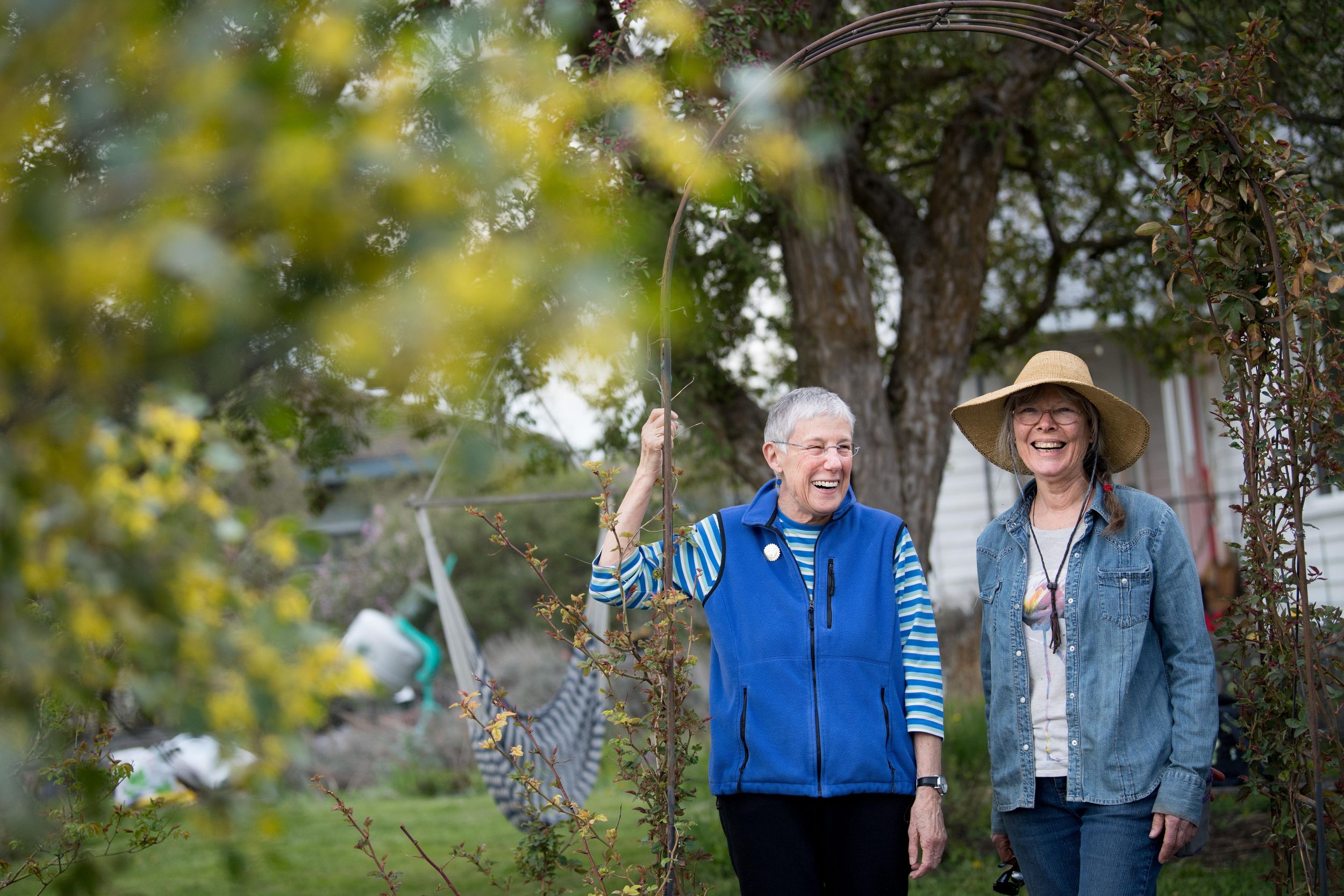 In the Garden: Native plants a natural fit for home landscapes | The ...