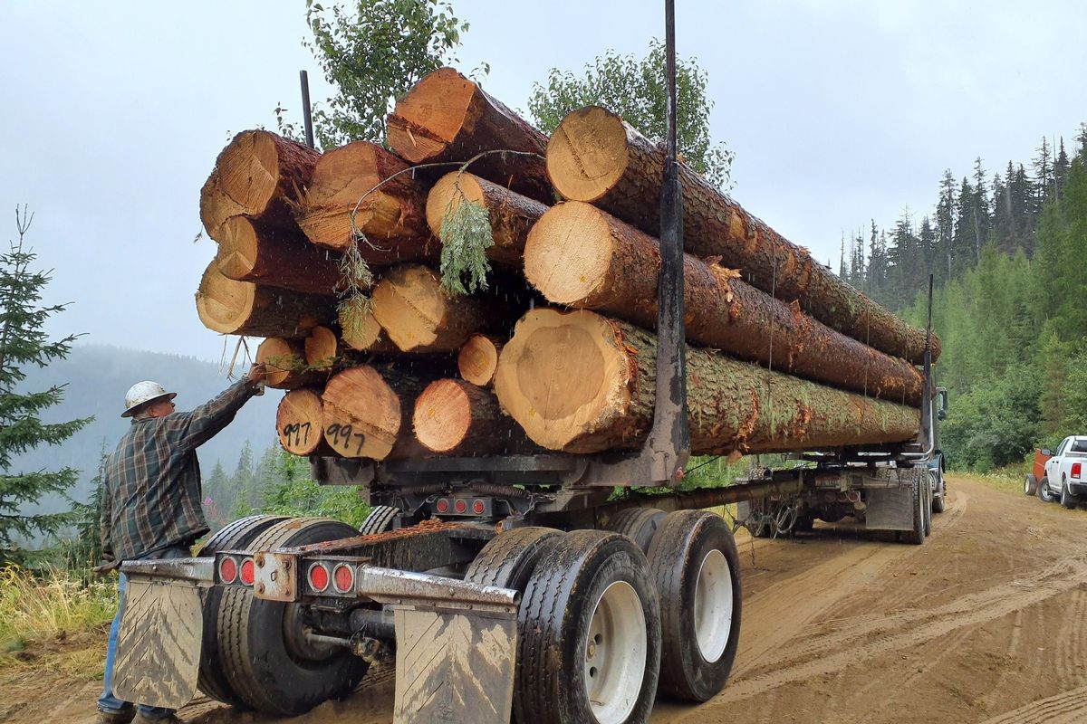 A logger checks a load before hauling it away in this photo from the U.S. Forest Service. (Courtesy of the U.S. Forest Service )