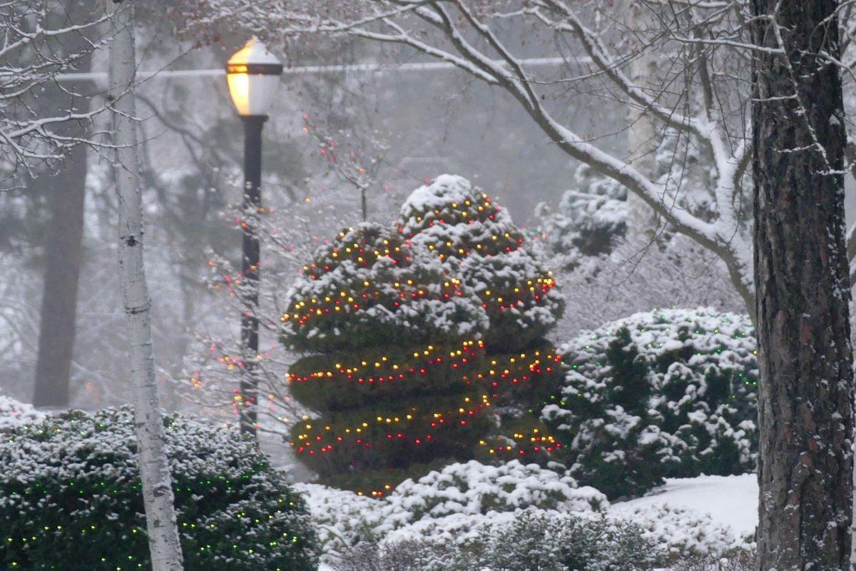 Light snow on partial covers a lighted shrub on Spokane’s South Hill on Monday, Dec. 10, 2018. A new round of snow brought more snow on Tuesday. (Jesse Tinsley / The Spokesman-Review)