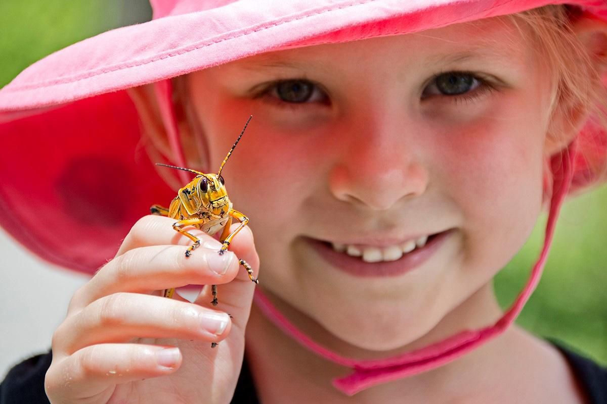 Introducing kids to nature can be as easy as reading a good children’s book about bugs and following up with a hands-on walk in the woods. (David FitzSimmons / David FitzSimmons photo)