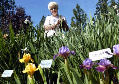 
Norma Lunden is a member of the Town & Country Iris Society and grows over a thousand varieties of irises at her home near Mica. 
 (Holly Pickett / The Spokesman-Review)