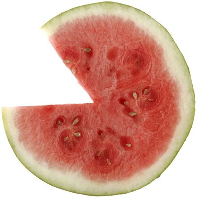 A slice of watermelon can satisfy hunger and quench thirst at the same time.