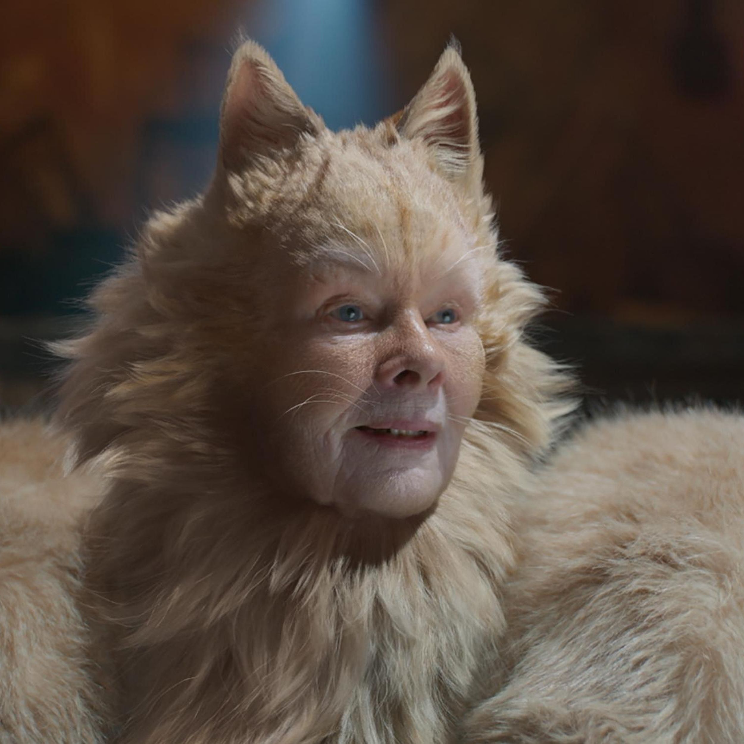 Movie Review  'Cats:' Musical will be catnip for some moviegoers