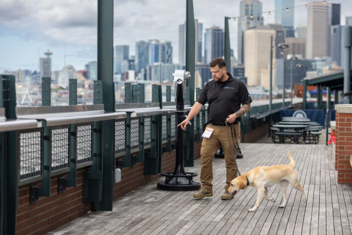 An Allied Universal canine works in New York. (Allied Universal/Allied Universal)