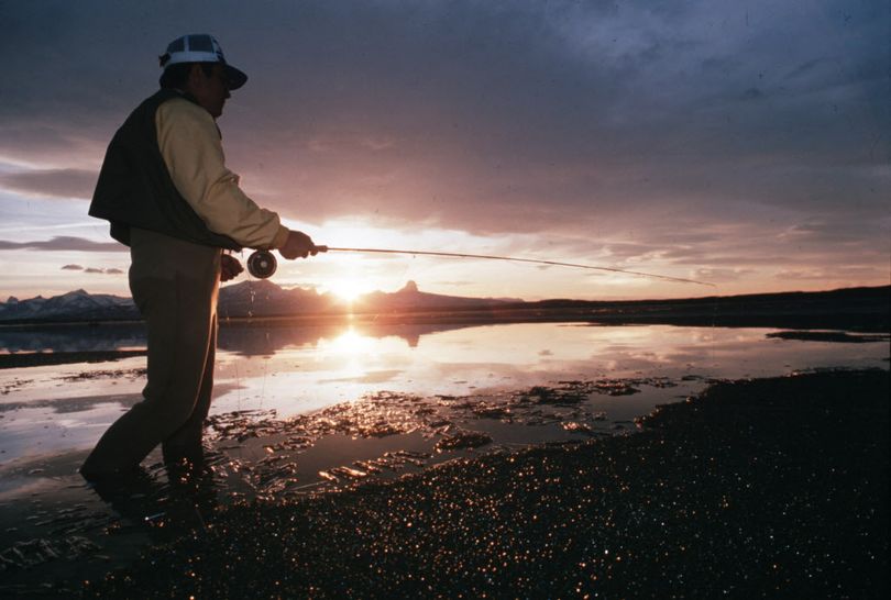 A fly fisherman wades the shoreline at Duck Lake during ice-out on the Blackfeet Reservation in Montana. (Rich Landers)