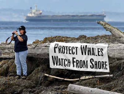 
Birgit Kriete, a researcher who heads the Orca Relief Citizens Alliance, looks for whales from a viewpoint on San Juan Island, Wash., in July. 
 (File/Associated Press / The Spokesman-Review)