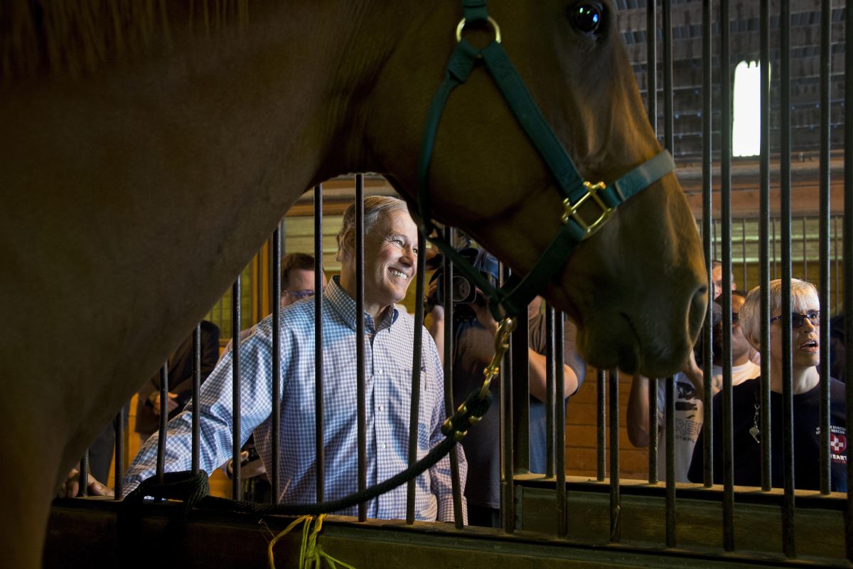 After receiving a briefing on the Spokane Complex fires, Gov. Jay Inslee visits Waylon, a thorough bred horse transported from the the Yale Road Complex Fire, Tuesday, Aug. 23, 2016, in Spokane. Eleven horses, two dogs, a cat and about a dozen chickens are being cared for by the Spokane County Regional Animal Protection Service (S.C.R.A.P.S.) at the Spokane County Fair and Expo Center. (Colin Mulvany / The Spokesman-Review)