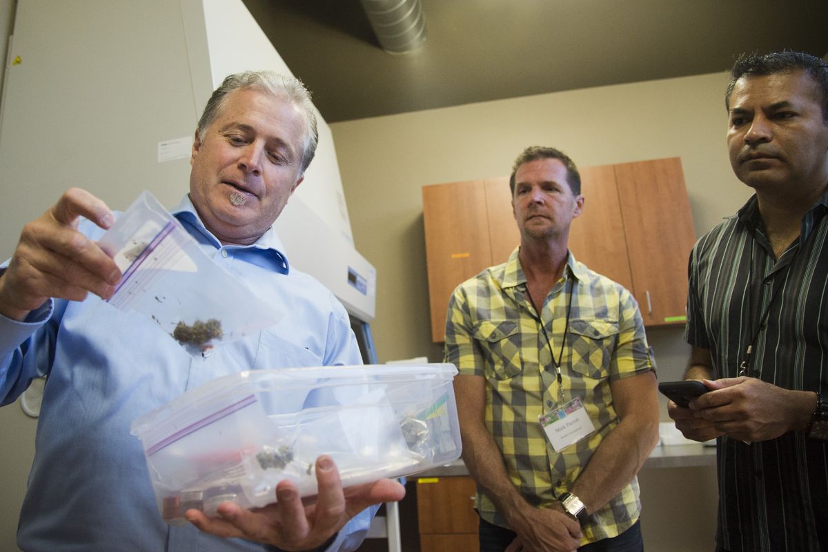 Gordon Fagras, CEO of Trace Analytics, shows visitors how samples arrive for testing at his laboratory, which tests marijuana for THC content and contaminants. (Jesse Tinsley)