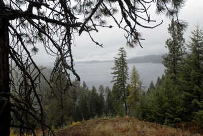 
Kootenai County commissioners on Thursday rejected the Chateau de Loire project planned for  this  land overlooking Moscow Bay. 
 (Jesse Tinsley / The Spokesman-Review)