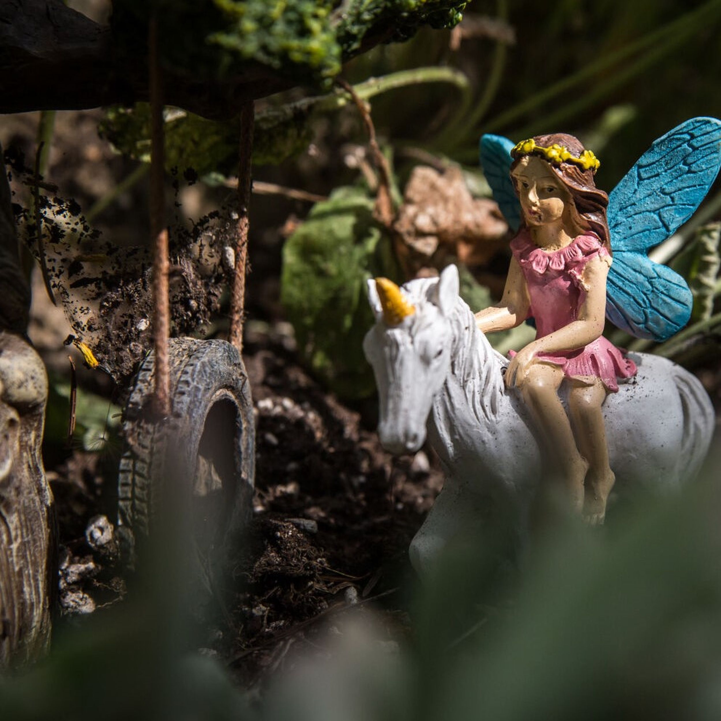 Backyard fairy tales: Books inspire nature, gnome, playhouse and outdoor  adventures at home