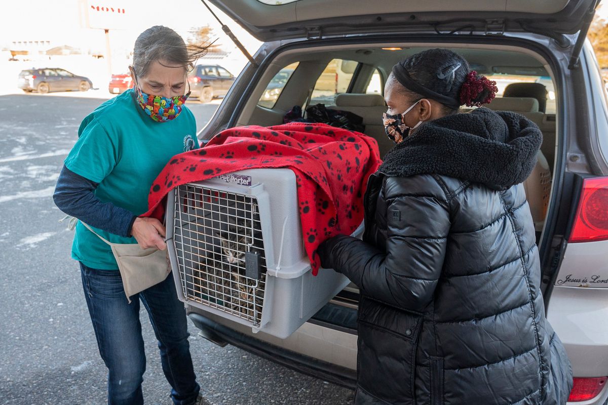 Leech Lake Legacy volunteers Cindy Ojczyk, left, and Engress Clark unload a kennel last Sunday with some of the kittens that were abandoned in Cass Lake, Minn. Fifteen kittens were found in a plastic tote left in the local Walmart parking lot and were brought to the Legacy’s clinic. For a decade, the nonprofit has been bringing veterinary services and taking away surrendered animals on the Leech Lake Reservation.  (Jack Rendulich)