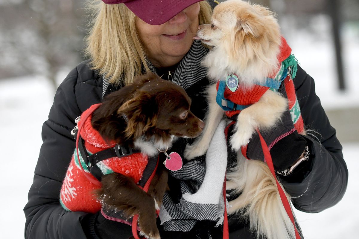 "That's Teddy Bear," says Patty Brebner as her long haired chihuahua kisses her face while holding Jaxon during a walk in Coeur d'Alene on Monday, Dec. 27, 2021.  (Kathy Plonka/The Spokesman-Review)