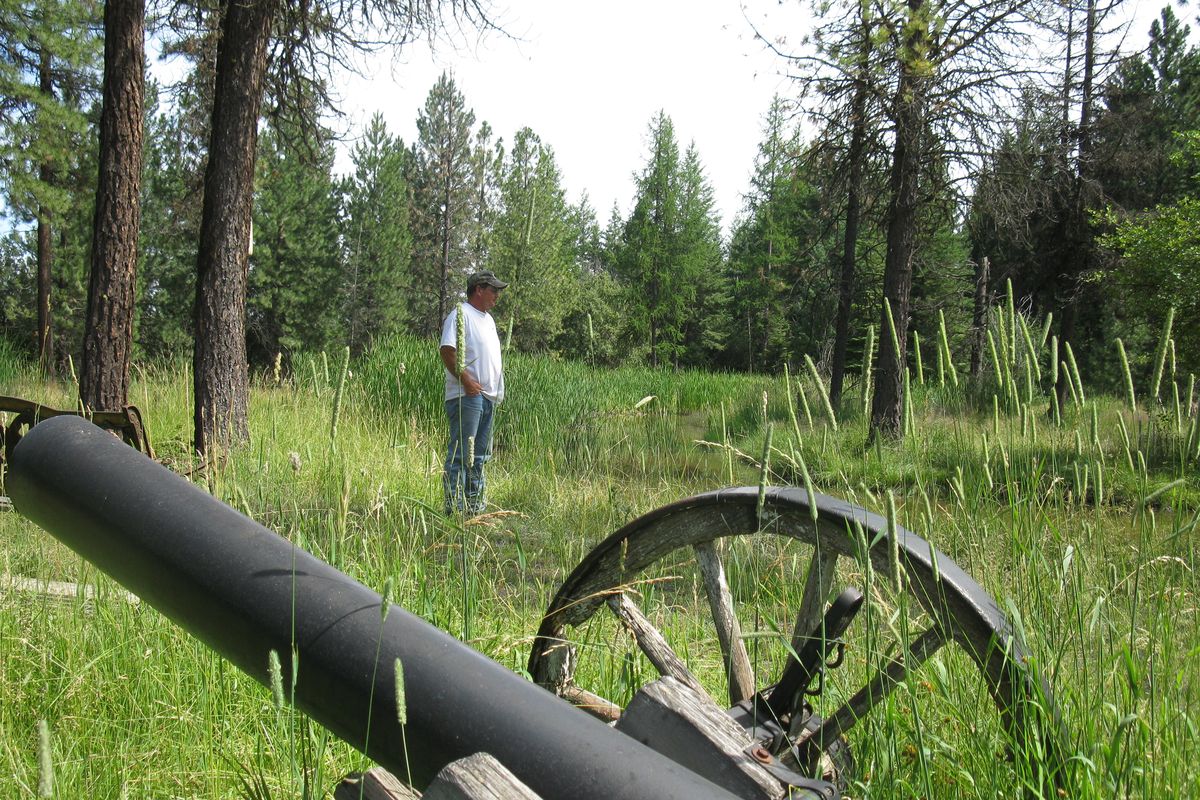 Warren Howard walks near a marshland/swamp area he built on his Worley, Idaho, property. He and his company WEH want to work with property owners to let some of their lots remain natural, which will attract wildlife.  (Jacob Livingston / Down To Earth NW)