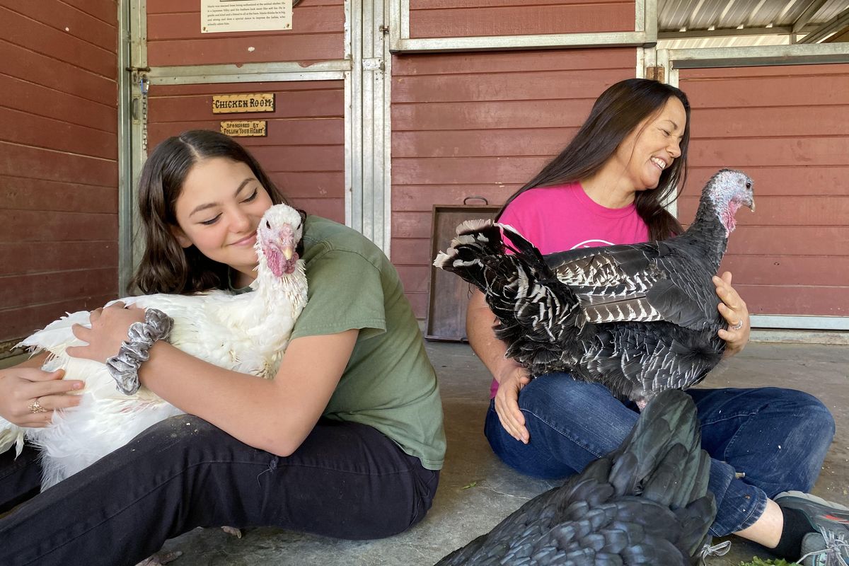Cheyanne Weiner, left, and her mom, Gentle Barn Founder Ellie Laks, have a turkey cuddling session at their nonprofit rescue farm. MUST CREDIT: Photo courtesy of Gentle Barn.  (Courtesy of Gentle Barn/Handout)