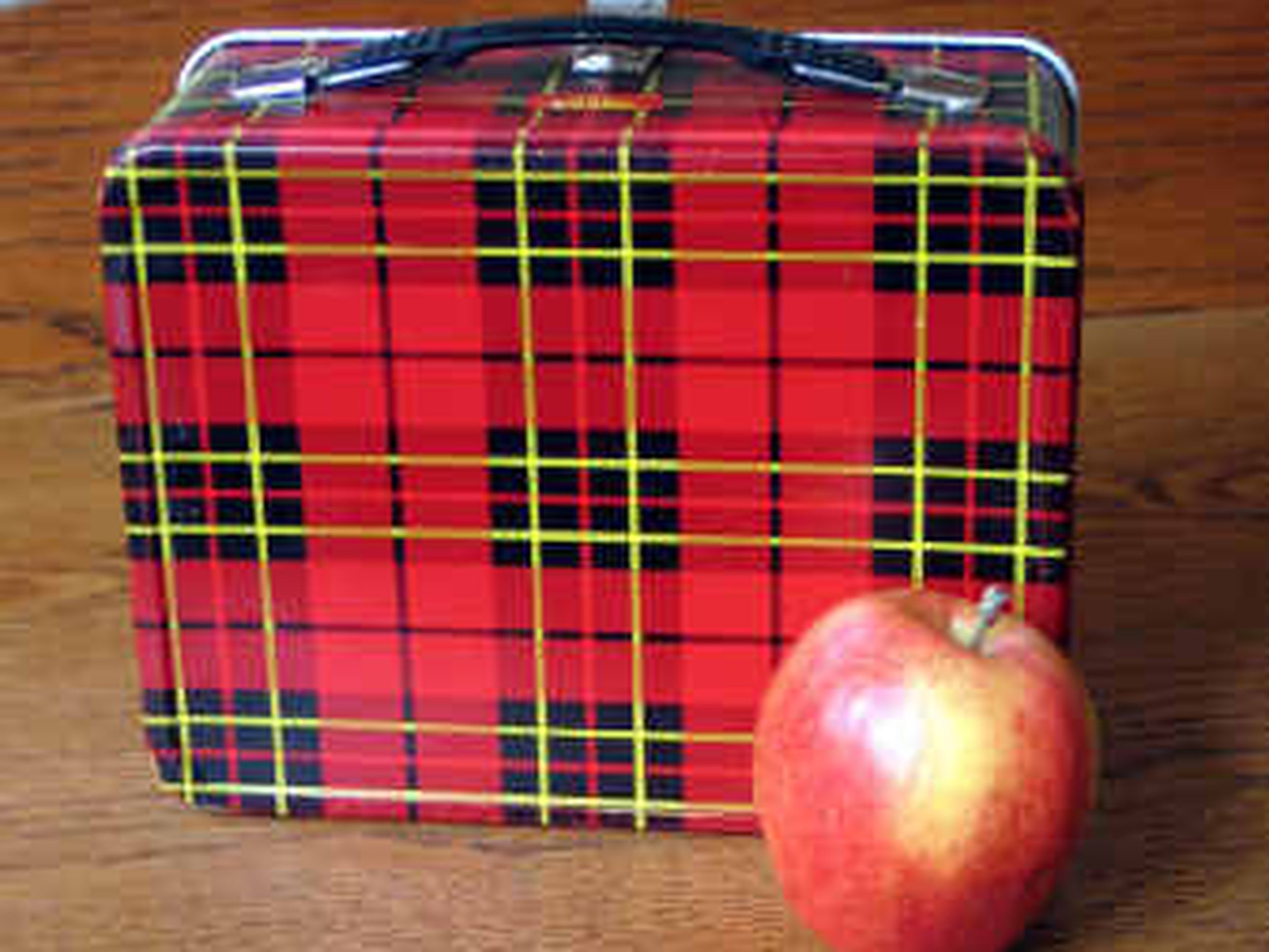 Vintage 1950s Aladdin Red Plaid Metal Lunch Box Thermos, Safety