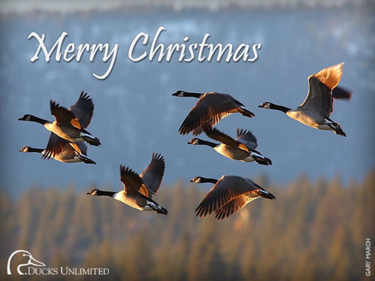 Ducks Unlimited shares the holiday spirit The SpokesmanReview