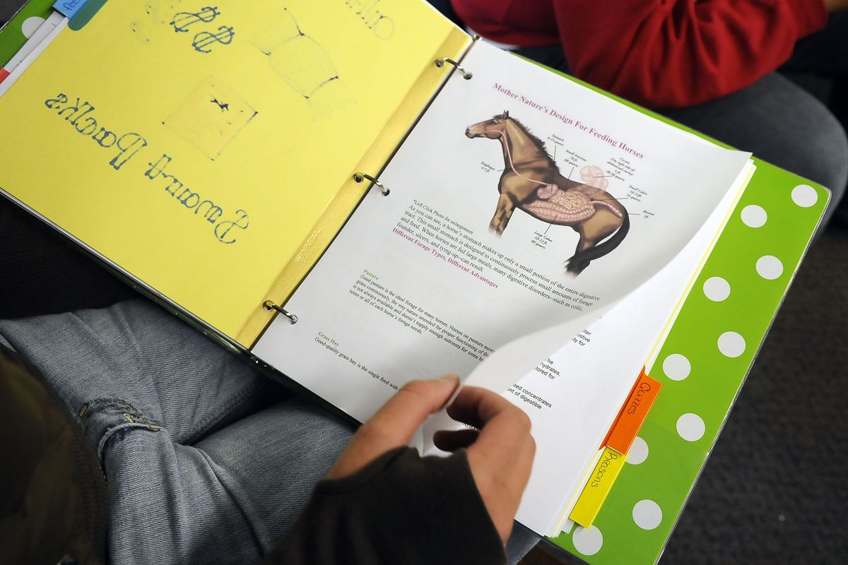 Each member of the Medical Lake FFA Horse Judging team has compiled a “horse bible” containing information for their competition. (Dan Pelle / The Spokesman-Review)