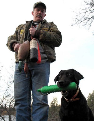 
John Gilbert of the Spokane Bird Dog Association demonstrates a retriever test with his eager black Lab, Cutter.
 (Photos by Rich Landers / The Spokesman-Review)