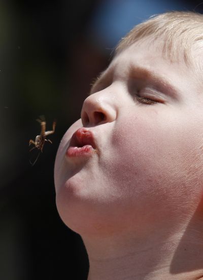 Sam Sheppard, 5, spits a cricket during a cricket spitting contest at the 25th Annual Insect Zoo at the University of Georgia on Friday, April 2, 2010 in Athens, Ga. (Richard Hamm / The Athens Banner-herald)