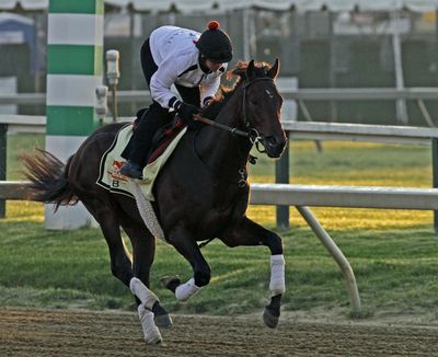 An exercise rider gallops Preakness Stakes favorite and Kentucky Derby winner Orb at Pimlico on Friday. (Associated Press)
