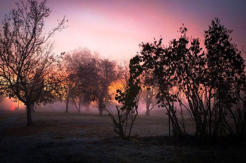 Foggy Sunrise, Colin Mulvany