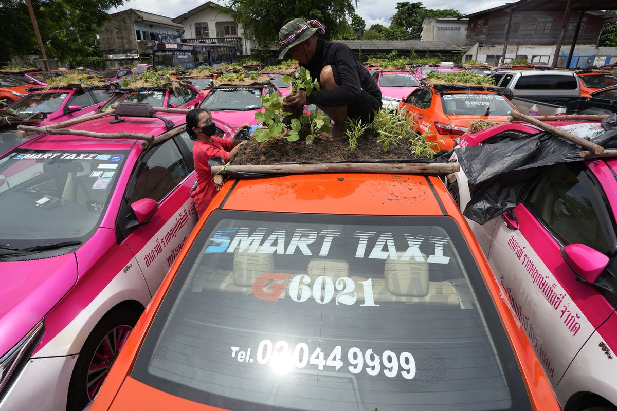 Workers from two taxi cooperatives assemble miniature gardens on the rooftops of unused taxis parked Thursday in Bangkok, Thailand.  (Sakchai Lalit)