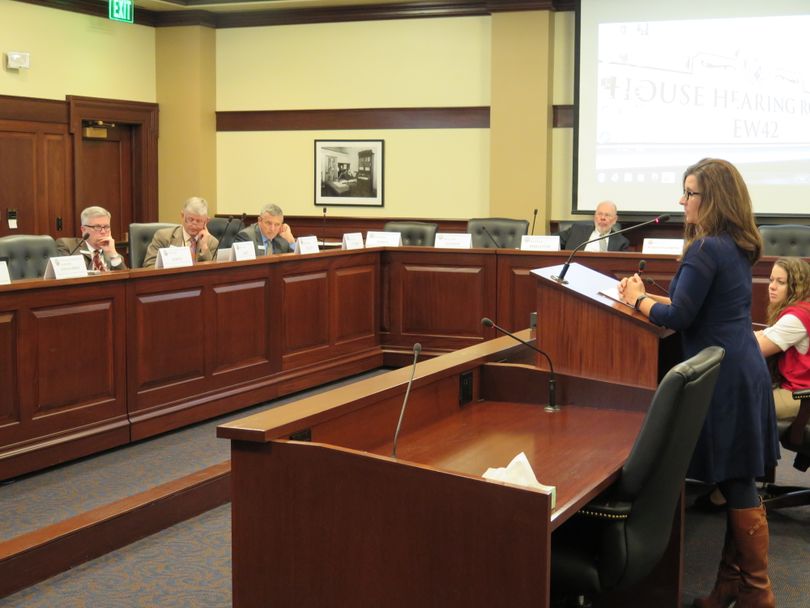 Megan Ronk, director of the Idaho Department of Commerce, testifies to the Legislature's joint Change in Employee Compensation Committee on Thursday. (Betsy Z. Russell)