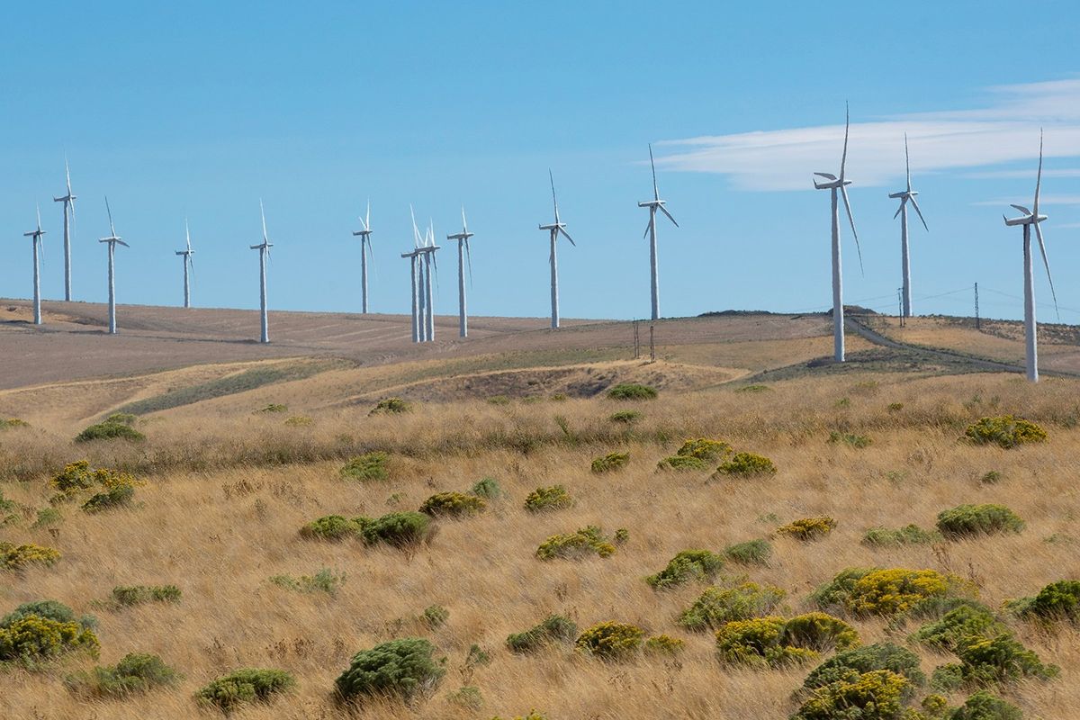 Wind turbines line the ridge overlooking Kennewick on Sept. 6 in Benton County, Wash.  (Luke Johnson/Seattle Times)