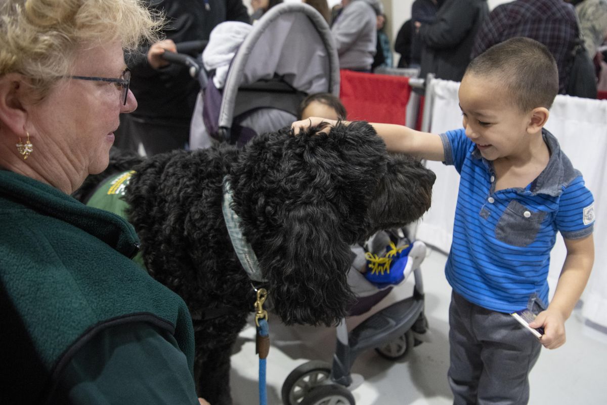 Three-year-old Uriel Pelayo greets therapy dog Oscar, a Newfoundland/poodle mix at the Christmas Bureau Friday, Dec. 14, 2018 at the Spokane Fairgrounds. Oscars handler, Beth Alcorn, left, brings Oscar into the long line at the Christmas Bureau to put people at ease and to give comfort. (Jesse Tinsley / The Spokesman-Review)
