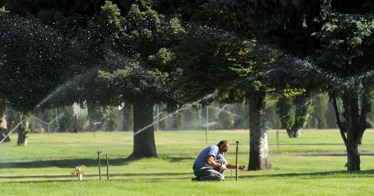 Groundskeeper Steve Pratt ducks under a running sprinkler to turn it off Aug. 7 at Pines Cemetery. (Jesse Tinsley)