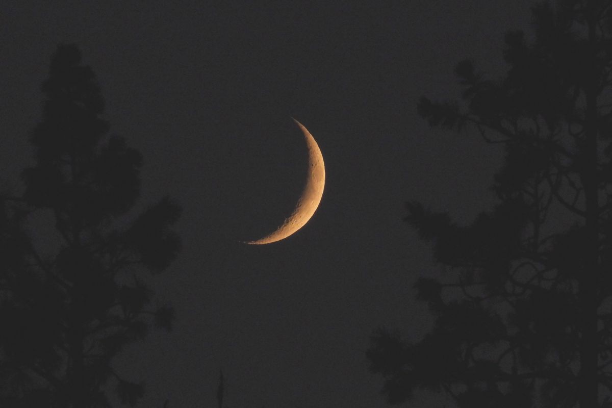 Photographer Jesse Tinsley used a Nikon P1000, which has an extreme telephoto lens, to photograph the waxing crescent moon around 8:40 p.m. Wednesday in Spokane. The fire smoke in the atmosphere gives the moon a yellowish color.  (Jesse Tinsley/THE SPOKESMAN-REVI)