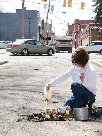 Elaine Santore fills a pothole with pansies Monday in the middle of North Center Street in Schenectady, N.Y. (Associated Press)