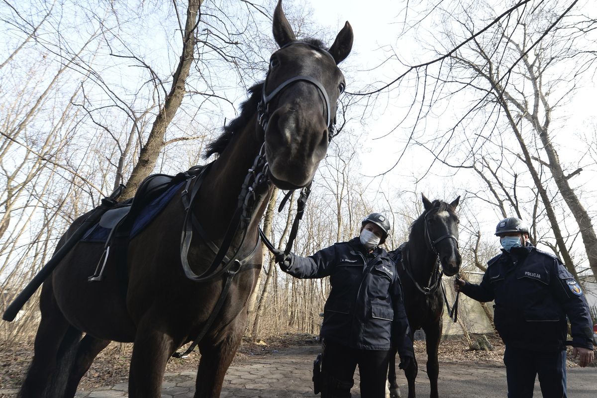 Mounted police patrol in a park in Warsaw, Poland, on Friday, March 5, 2021. When they age, the dogs and horses that serve in Poland