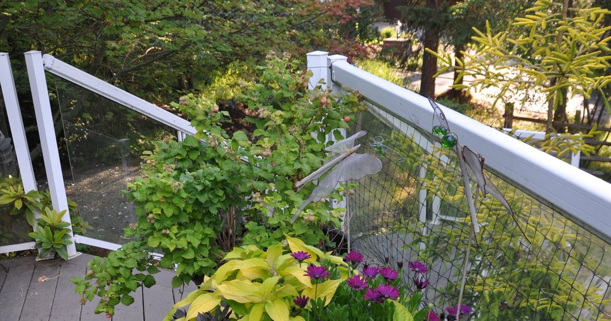 Gardening: Pots provide some thrills on a deck or in the garden