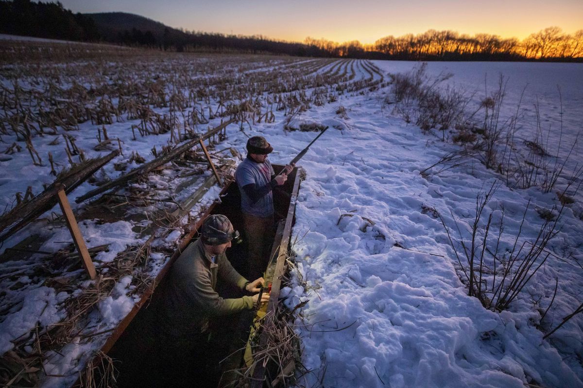 Nick Semanco, left, and Adam Saurazas set up their blind in the Middle Creek Wildlife Management Area in Stevens, Pennsylvania, on Jan. 9, 2020. (Kyle Grantham / For The Washington Post)