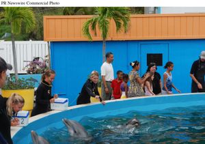 President Barack Obama and his daughters Sasha and Malia watch dolphins at Sea Life Park during their vacation on Oahu in December. Hawaii is asking the president to help its faltering tourism industry.Courtesy of Sea Life Park (Courtesy of Sea Life Park / The Spokesman-Review)