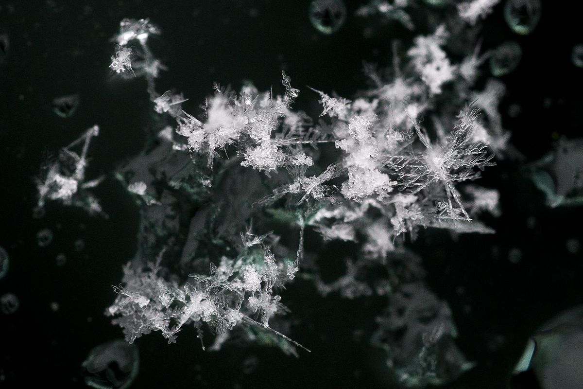 As a winter strom arrives in Spokane, Wash., snowflakes land and melt on a car window on Wednesday, Feb. 23, 2011. (Colin Mulvany / The Spokesman-Review)