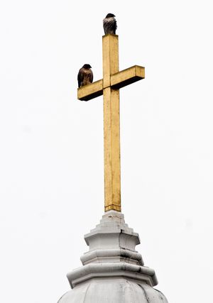 In a light rain, a pair of hawks perch on one of The Cathedral of Our Lady of Lourdes Catholic Church steeple crosses on Monday, Jan. 24, 2010 in Spokane, Wash. (Colin Mulvany / The Spokesman-Review)